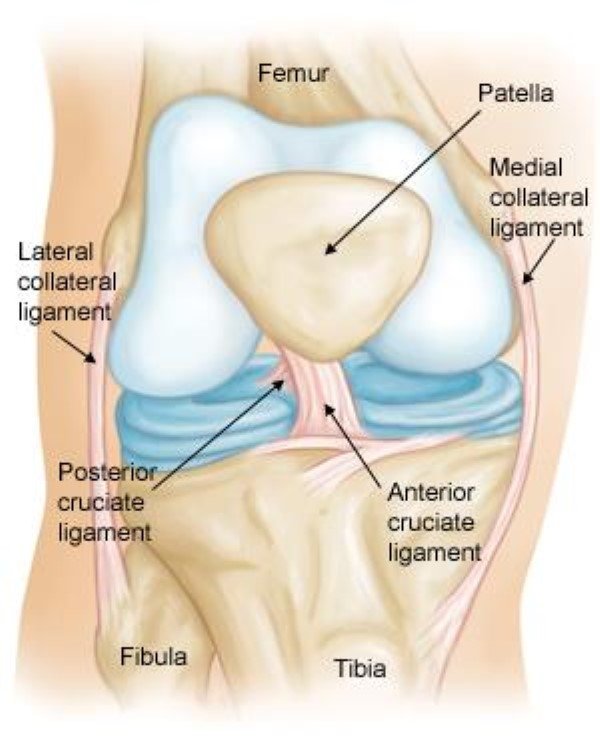 What is an ACL Injury?