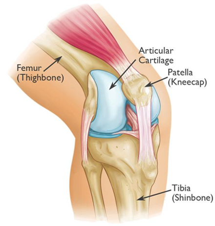 What are the treatment options for patellar instability?