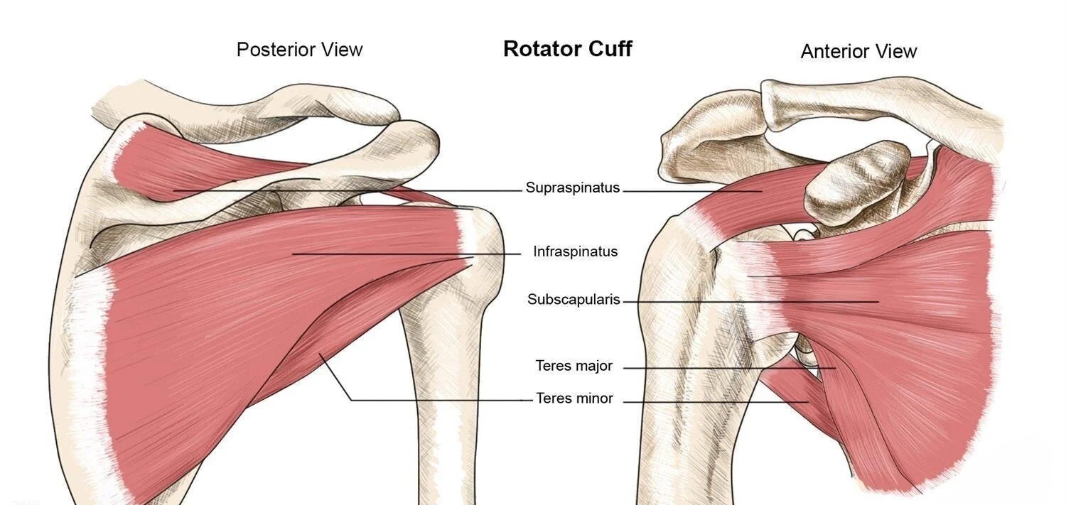 What are the treatment options for Rotator Cuff Tear?